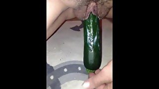 My 3 zucchini videos in 1