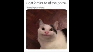 Funny Porn Memes You Will Explode To