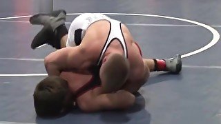 Wrestle Bulges