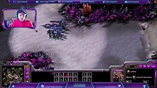 zerg vs protoss domination