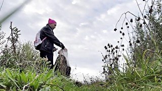 Outdoor sex in a field of Paris