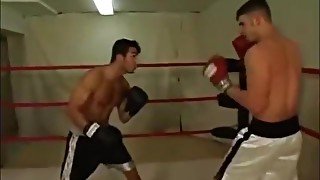 Hammer vs Cq