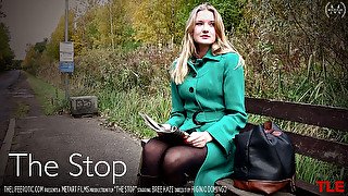 The Stop - Bree Haze - TheLifeErotic