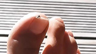 Little Ant has a Foot Fetish