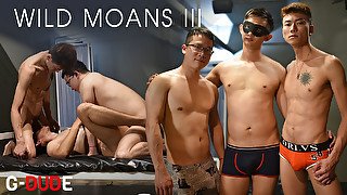 Wild Moans 3