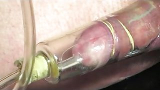 pumping sounding urethral ballbusting cock man gay trans