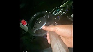 Stroking Huge Cock N My Car (Rooftop)