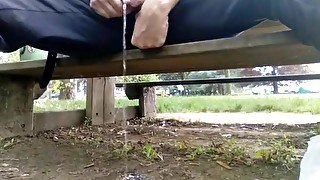 Kocalos - Pissing in a public park