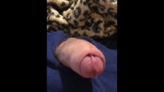 Small uncut cock gets hard / small uncut dick