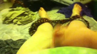 Teen Tranny Jacks Off