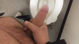 Public bathroom jerk