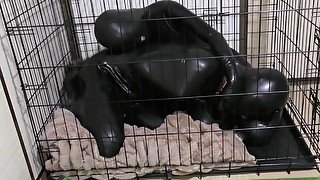 Trapped In Rubber Bitchsuit &amp; Cage