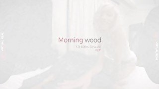 VirtualRealPorn - Morning wood