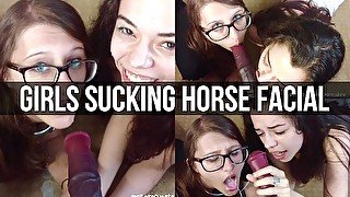 Girls Sucking  Cock Facial Reward