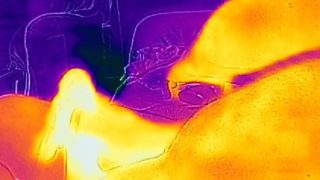 Flir Thermal solo man masturbating