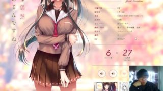 【Galgame恋爱冒险游戏】アマカノ２绍介