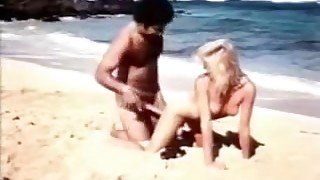 Ginger Lynn beach fucked