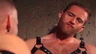 leather harness guy