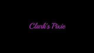 Clark's Pixie