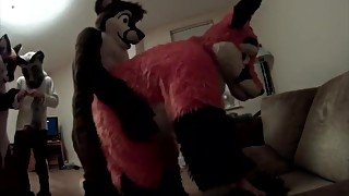 Fursuit sex 122