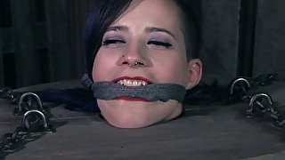 Black kinky geek gives hard sex lesson to naughty bitch Violet Monroe and her pal