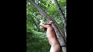 Weirdo in the wood fucks a tree