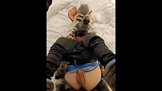 HYENA FURSUITER TAKES BIGGEST COCK YET