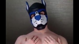 Dog face cum shot