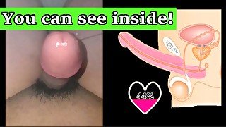 Cum Meter 9.1 Inside JOI Slow Cum load