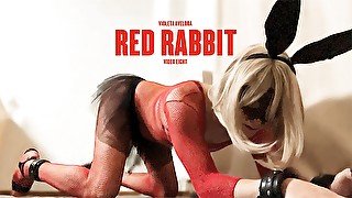 RED RABBIT & 3 BUTT PLUGS - Homemade sissy shemale play and drink her cum