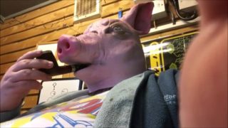 pig pipe