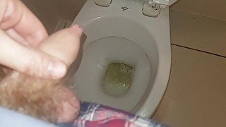 Pissing into a filthy toilet