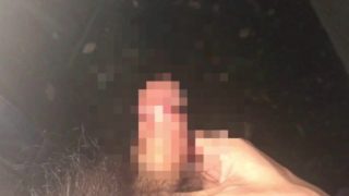 Masturbation in the park at midnight