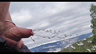 Beautiful forest pissing and a view