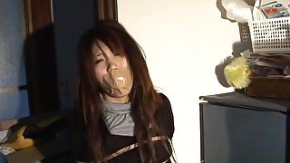 Japanese daylight 2