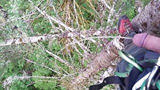 Pissing from 130' up in a tree