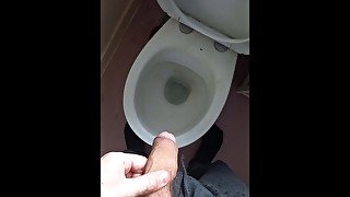 Pissing