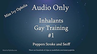 Audio Only - Inhalants Gay Training 1 - Stroke and Sniff Imposed Bi JOI