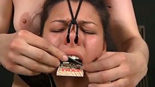 Brunette beauty gets a mousetrap on her tongue in bdsm play