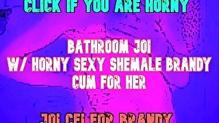 AUDIO ONLY - Be dominated by a shemale on your toilet bathroom JOI CEI