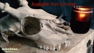 TEASER: Releasing this October! Werewolf & Witch + more!