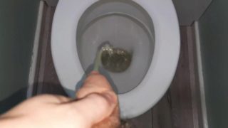 Dirty whore pissing all over his toilet! (Pissing compilation)