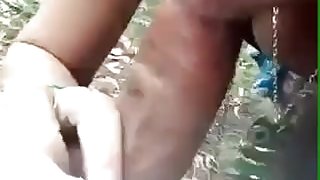 Sucking cock in the park