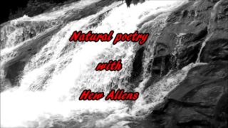 All natural poetry in nature. The Haunted Palace.