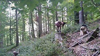 I masturbate and stick a dildo in my pussy while standing on a wooden stump