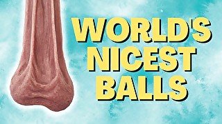 WORLD'S NICEST BALLS