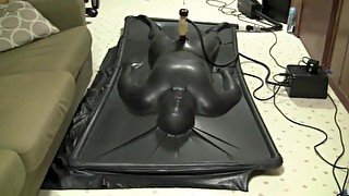 Vacbed being milked by venus 2000