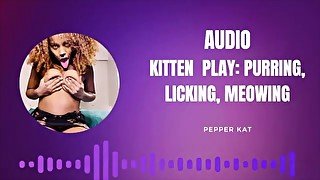 Kitten Play Audio: Purring, Meowing, Licking