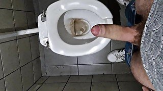 Hot hairy toilet cumming at work