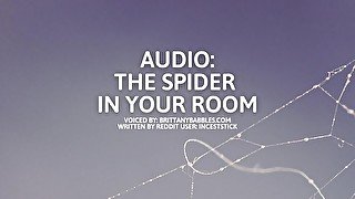 Audio: The Spider In Your Room